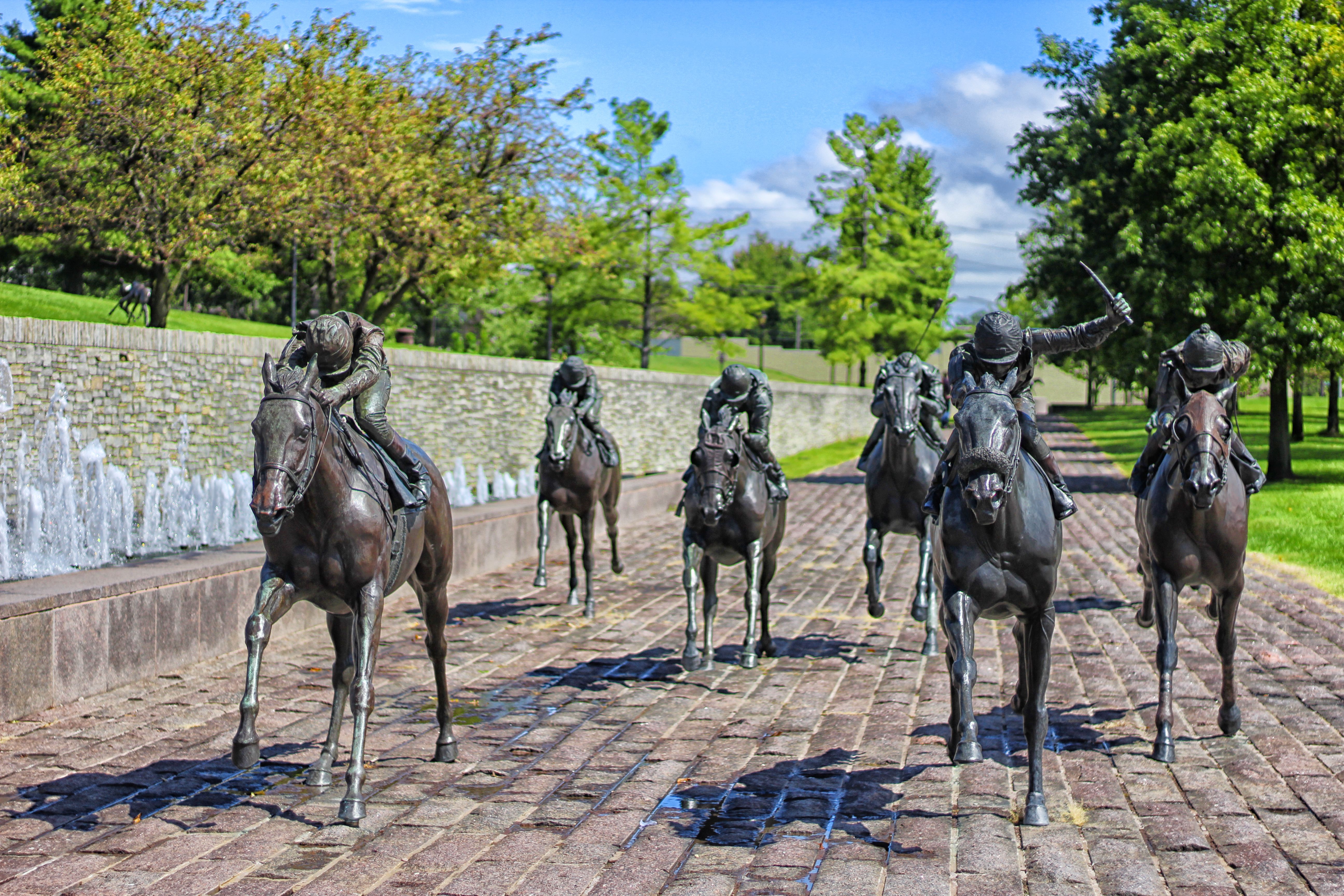 Thoroughbred Park   Front of Horses