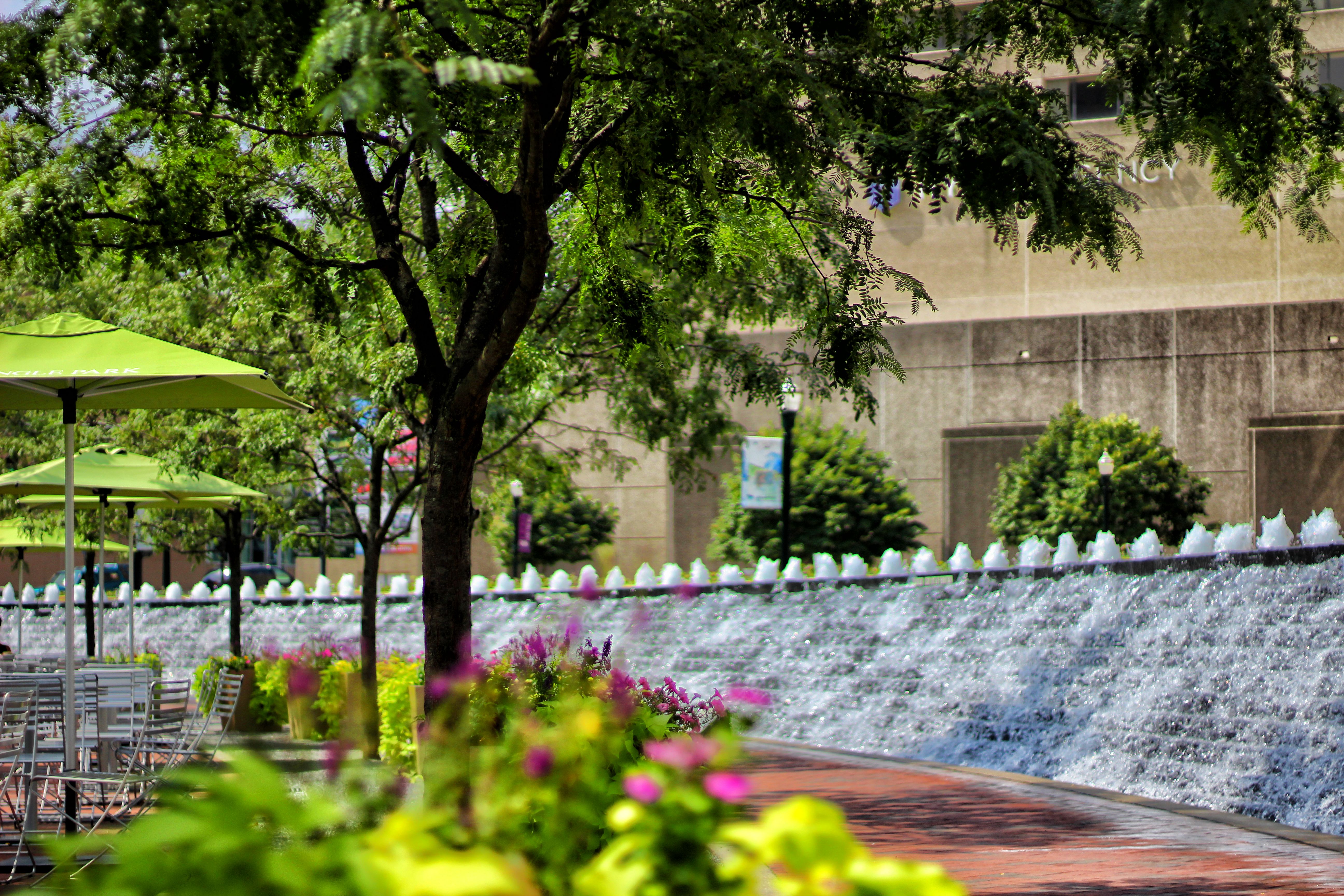 Triangle Park Greenery and Fountains