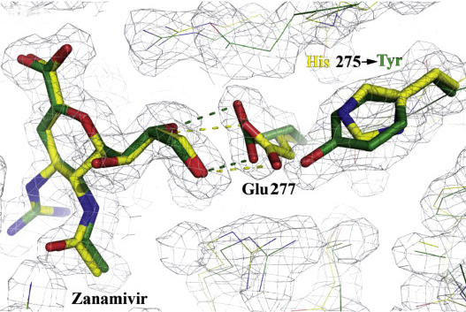 Fig2b